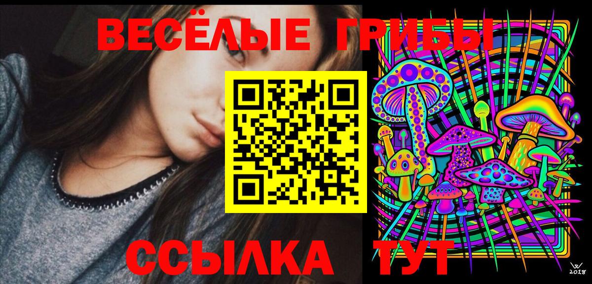 Псилоцибиновые грибы MAGIC MUSHROOMS  Вход с VPN  Боровичи 